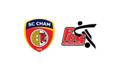 SC Cham d - FC Schattdorf e