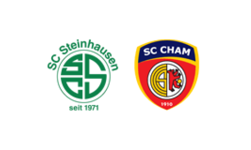 SC Steinhausen b - SC Cham d
