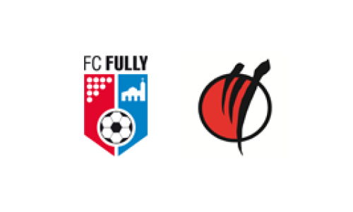 FC Fully D Form - FC Visp 1 D Form