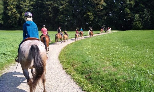 Guided rides with western horses on the Lindenberg