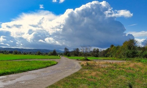 Grosse Allmend Frauenfeld