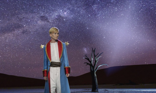 Der kleine Prinz