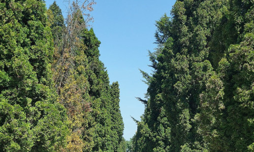 Friedhofkapelle Sihlfeld A, Friedhof Sihlfeld, Aemtlerstrasse 149, 8003 Z&uuml;rich