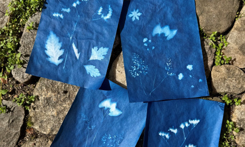 Alles lebt: Sonnenfotografie &ndash; blaue Bilder