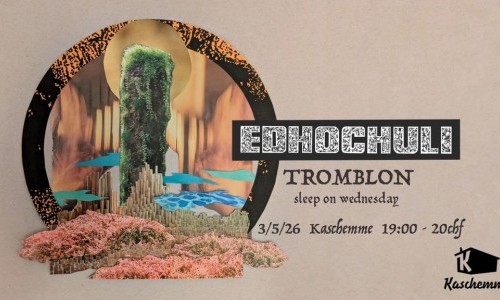 EDHOCHULI, TROMBLON & SLEEP ON WEDNESDAY