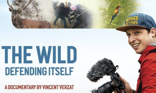 KlimaKino: The Wild defending itself