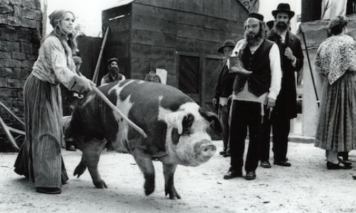 Skino im Kunstmuseum