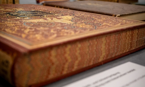 Buch am Mittag: Im Schatten der Regale