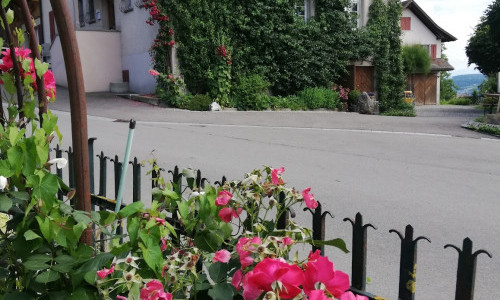 Iselisberg