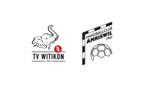 HSG TV Witikon - HC Amriswil 1