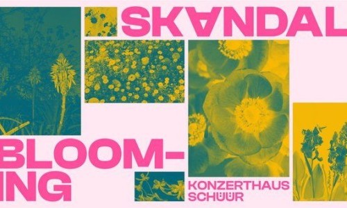 Skandal (16+)