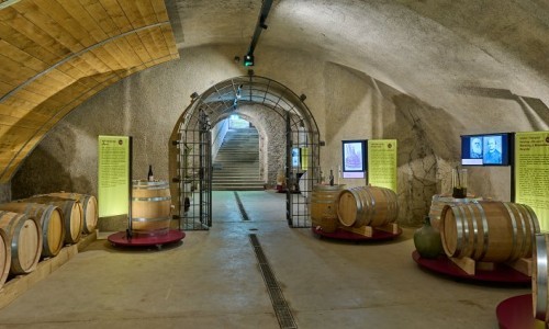 Ausstellung: 2000 Jahre Wein auf Arenenberg