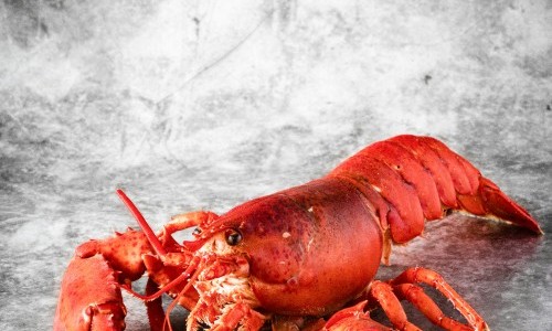 Hummer Tafeln in der Fischerstube am Z&uuml;rihorn