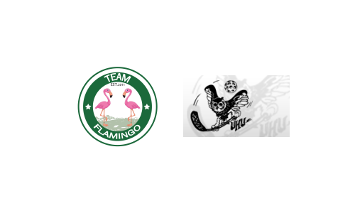 Team Flamingo - UHU Bern