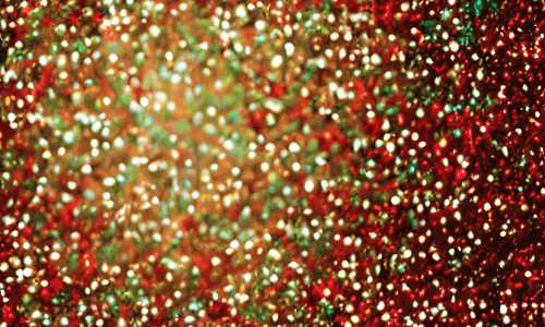 Glitzer-Weihnachtswerkstatt