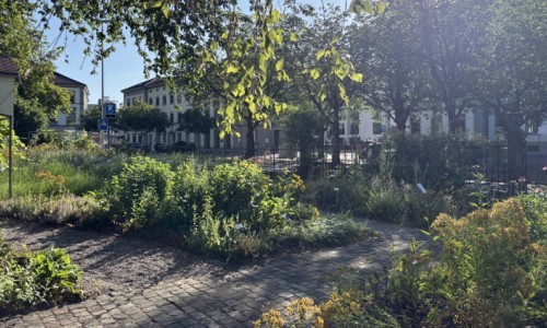 Vom Gartenbeet aufs Zvieribrot