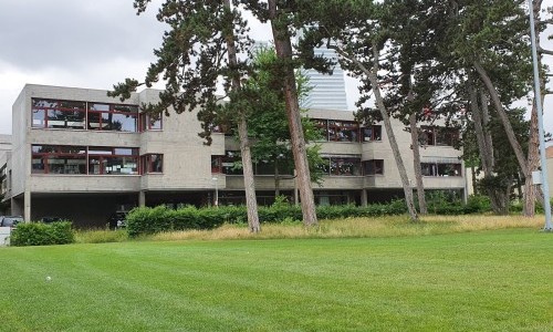 Primarschule Niederholz