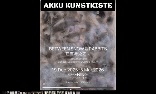 AKKU KUNSTKISTE USTER