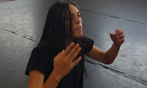 Das Tanzfest Region Basel 2026: Tanz als heilsame Kraft: &laquo;Blink in&raquo;