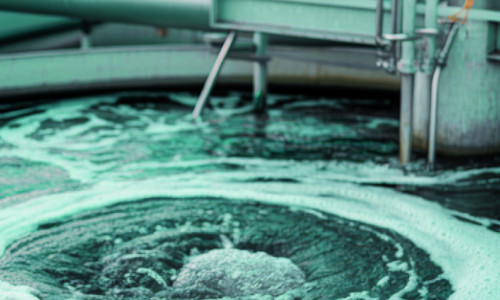 Siedlungsabwasser als wichtige Zukunftsquelle f&uuml;r Stickstoff