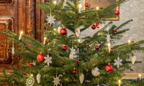 Besondere Veranstaltung: Geschichten unterm Tannenbaum