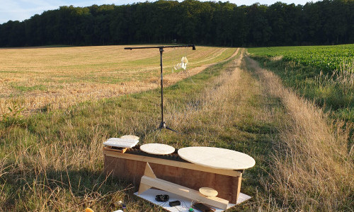 IGNM Konzert: Tang - Sugar Instruments &laquo;Resonating through Sugar and Metal&raquo;