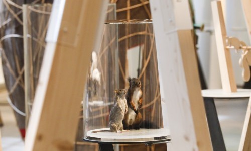 Eichh&ouml;rnchen - Familiensonntag