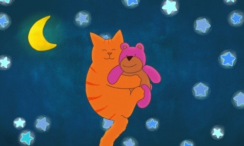 Tommy Tom und der verschwundene Teddyb&auml;r