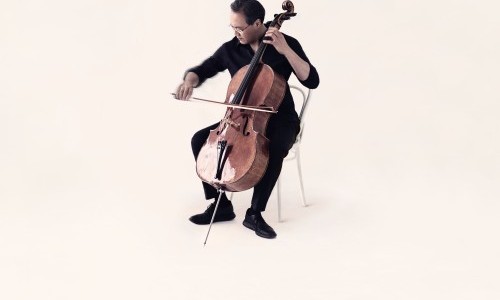 Summer-Festival: West Eastern Divan Orchestra