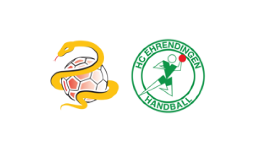 SG Lachen/H&ouml;fe - HSG Ehrendingen-Wehntal