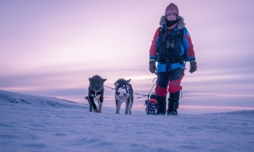 Explora: Gr&ouml;nland &ndash; Ruf der Stille