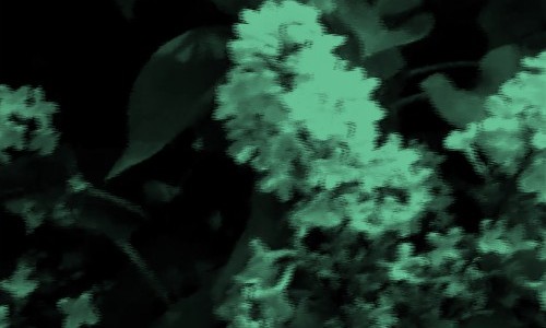 &Ouml;ffentliche F&uuml;hrung: Tschornobyl