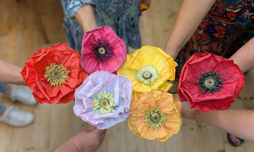 Rahmenprogramm Alles Echt!: Mohnblumen-Workshop mit Papina.ch