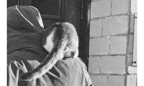 Kunstschaffen Glarus (A-L)