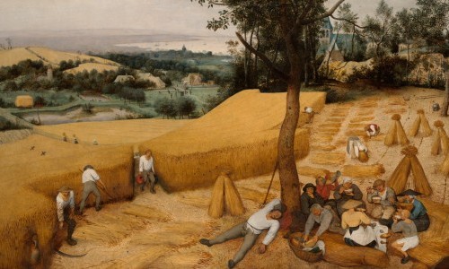 The Return to Nature and Culture