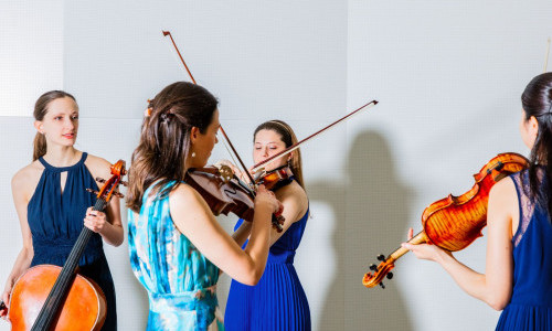 Open Chamber Music (OCM)
