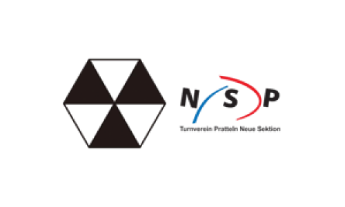 SG Handball Basel-Stadt 2 - TV Pratteln NS 1