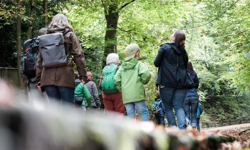 Unterwegs mit StadtWildTiere zum Thema Eichhörnchen