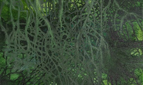 "Dialog in Grün" - Ulla und Rolf Klaeger