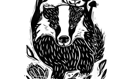 Er&ouml;ffnung der Sonderausstellung &lsaquo;Wow &hellip; ein Dachs!&rsaquo;