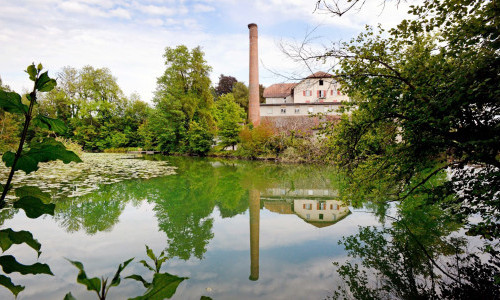 Sch&ouml;nau Wetzikon
