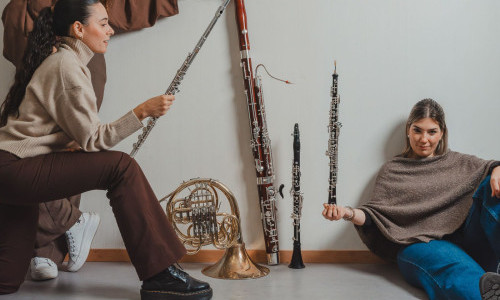 Open Chamber Music (OCM)