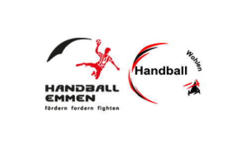 Handball Emmen - SG Freiamt 2
