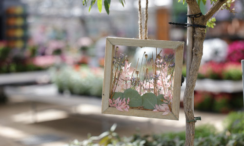 Kinderatelier: Bilder aus Trockenblumen