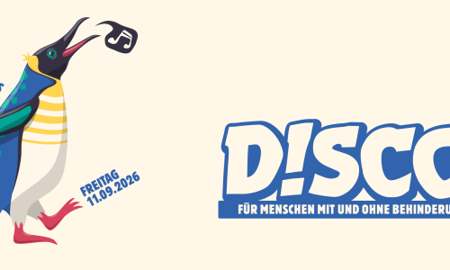 D!sco