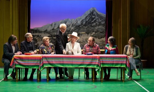 Der Besuch der alten Dame