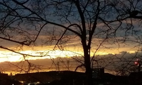 Cit&eacute; universitaire