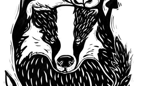 Grimbarts geheimnisvolles Leben