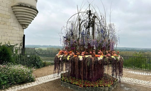 3Sat: Im Rausch der Blumen: Von Bl&uuml;tentr&auml;umen und Schl&ouml;ssern