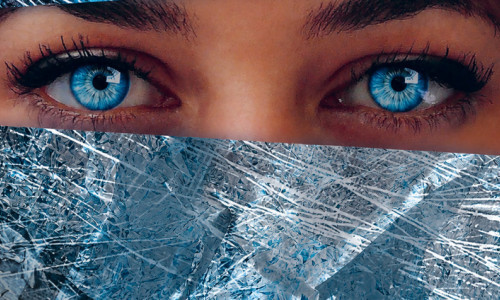 Sophia oder das Ende der Humanisten